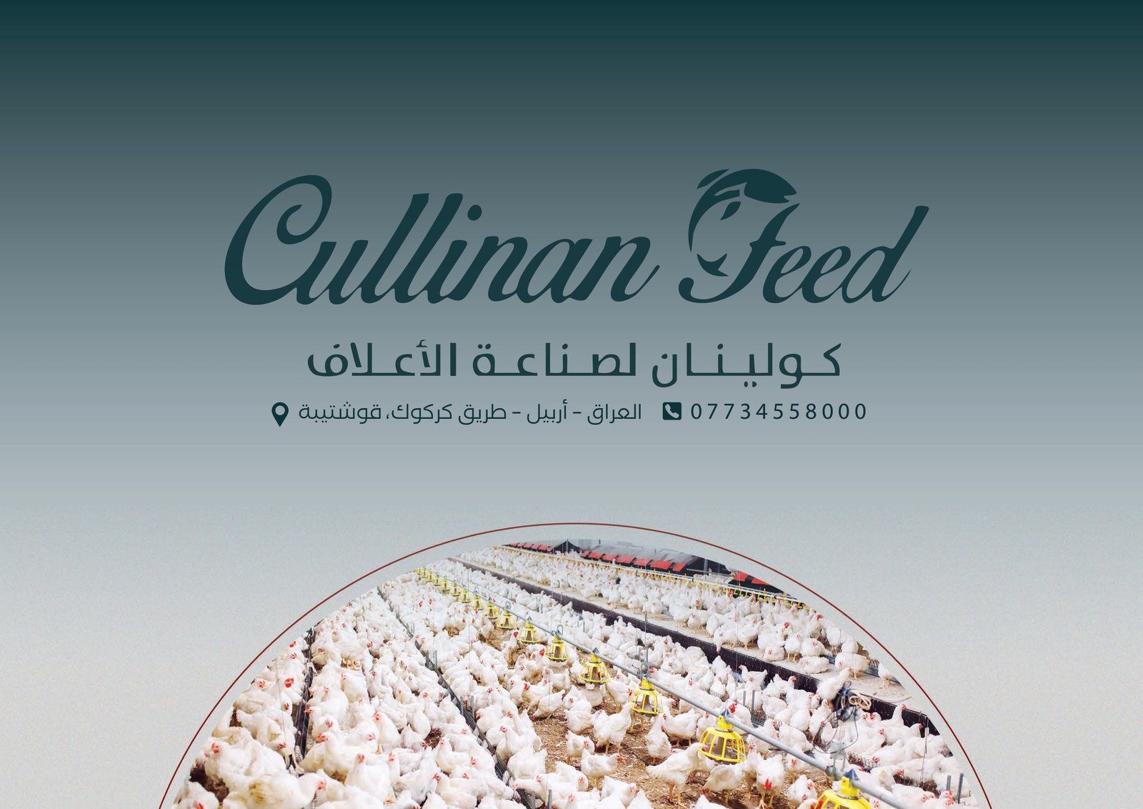Cullinan Feed - 3