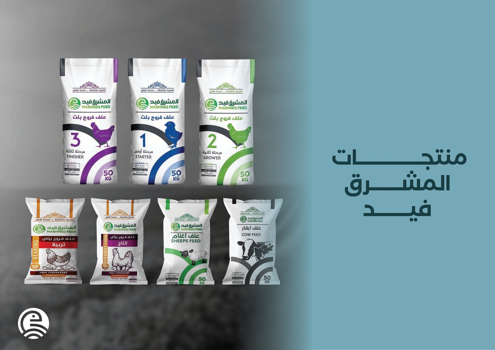 المشرق فيد - 2